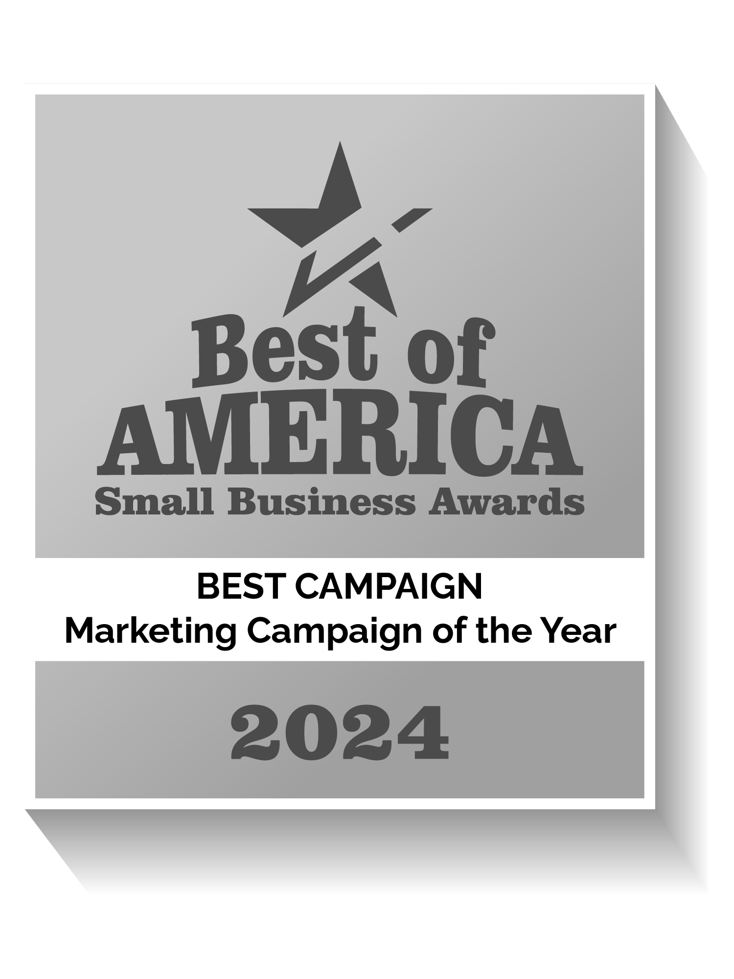 Marketing Campaign Of The Year – Best Of America Small Business Awards